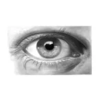 Faber-Castell Gold Faber Graphite Pencil - HB BOX OF 12 - Image 2
